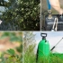 9 Pravidiel, ktoré sa musia dodržiavať pri spracovaní rastlín s pesticídmi